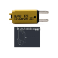 E73 12/24V surcharge Current Thermal Manual Reset Mini